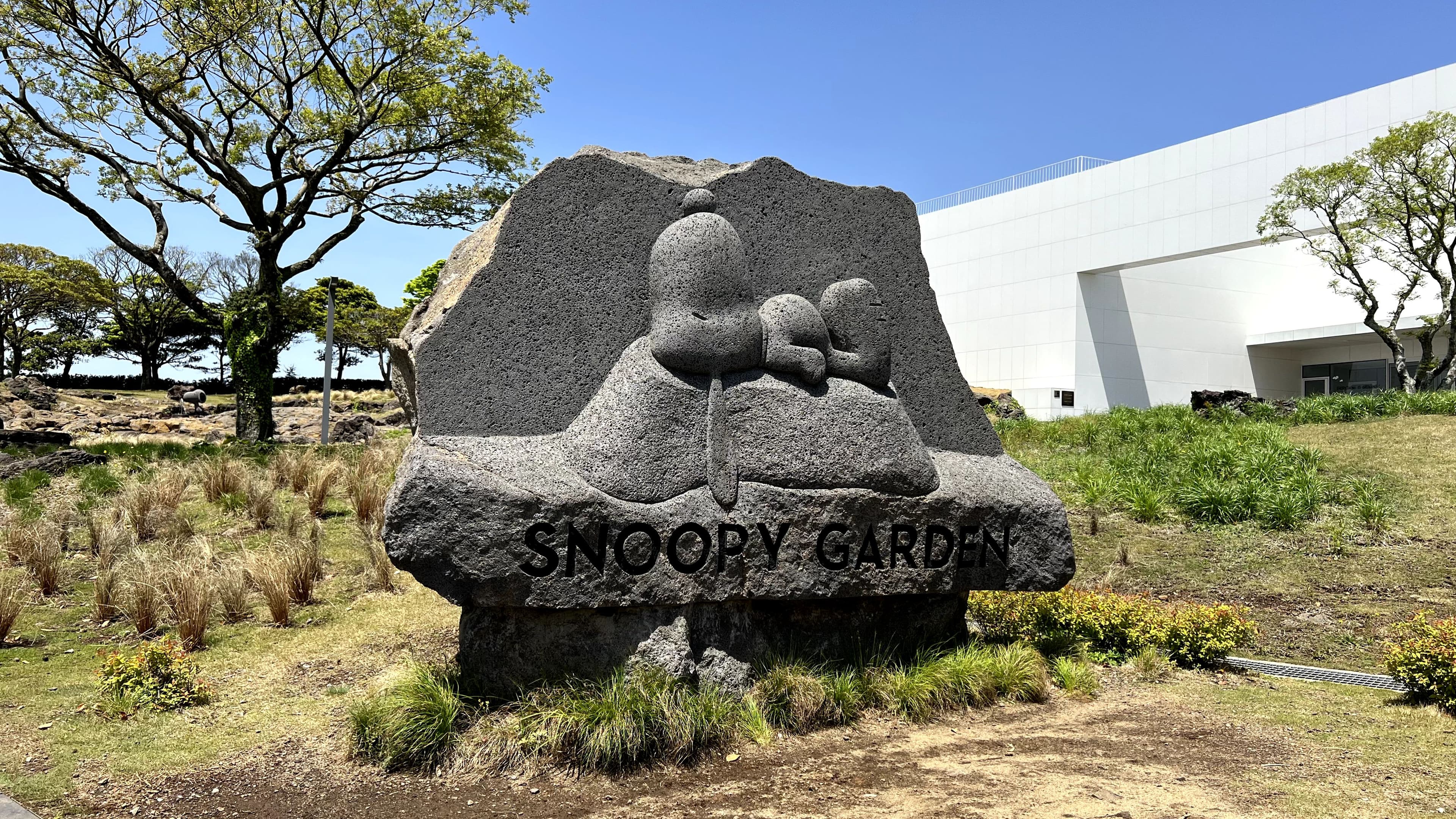 snoopy garden